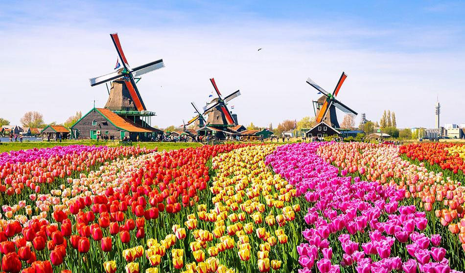 فرهنگ و آداب و رسوم هلند را بشناسید
